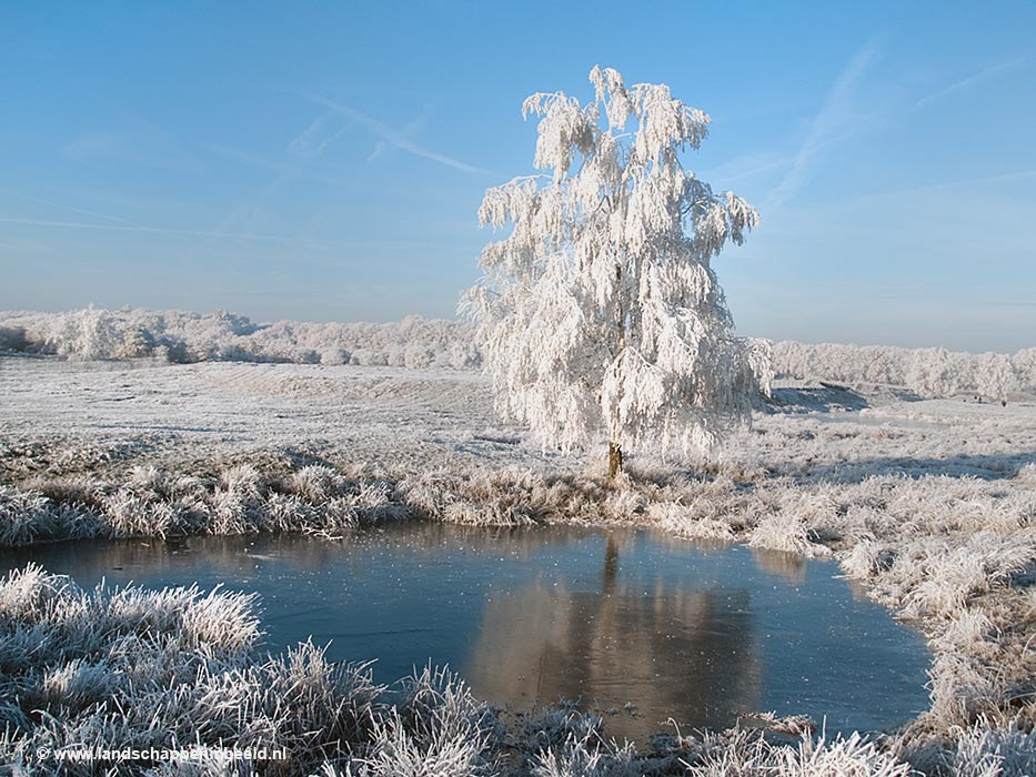 Wieg Onbemand Echter Landschappen in beeld - winter in de Groeve Oostermeent: sneeuw en ijs